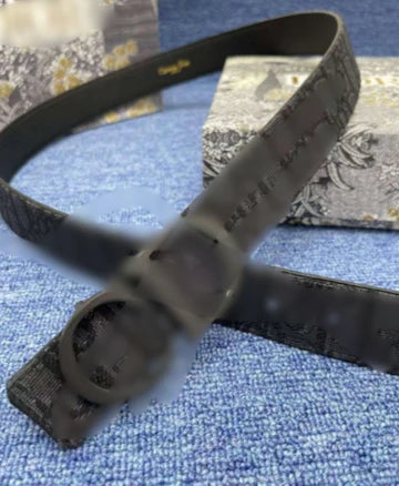 CD belt